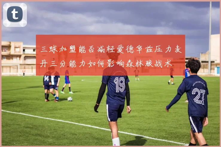 三球加盟能否减轻爱德华兹压力麦丹三分能力如何影响森林狼战术